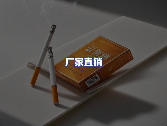 专业团队